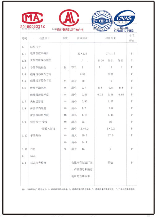 檢驗報告